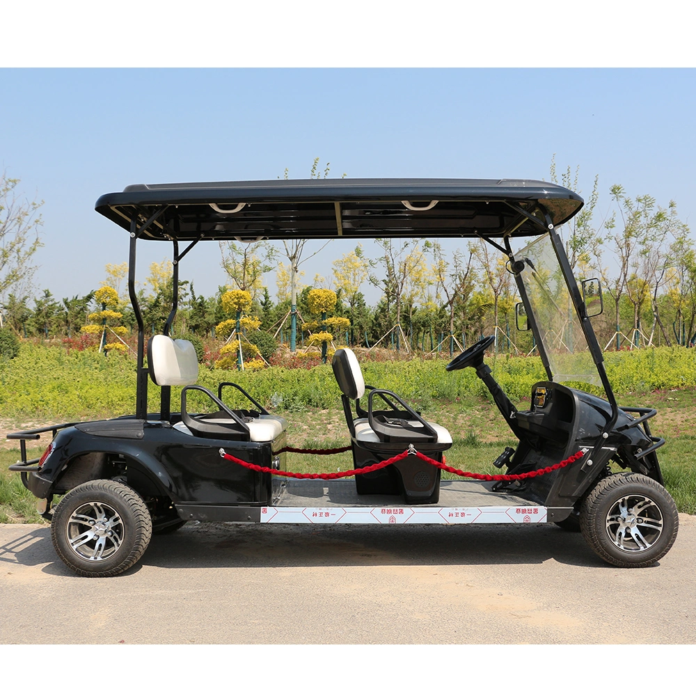 Royal Style 60V Used for Club Utility Small Cart