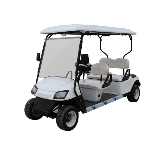 Royal Style 60 V für den Club Utility Small Cart