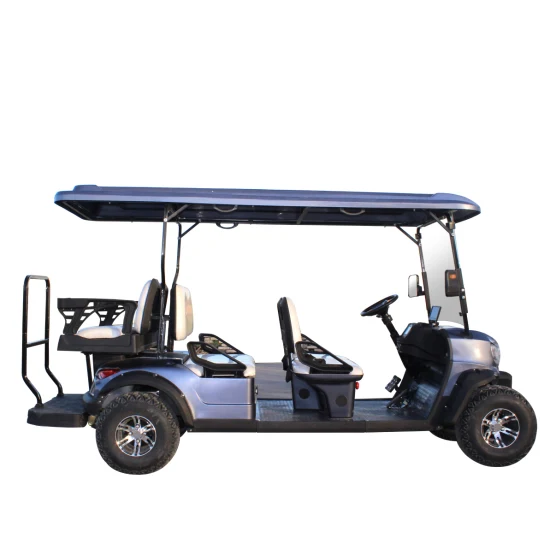 2/4/6/8/10 Sitzer/Sitz/Beifahrer Bleisäure/Lithiumbatterie Elektrischer Golfwagen, Golfbuggy, Golfwagen, Clubwagen mit umklappbarer Rücksitz-Aufbewahrungsbox mit CE und DOT